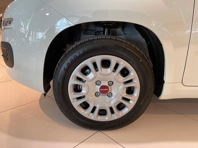 Fiat Panda 1.2i Easy EU6d-TEMP