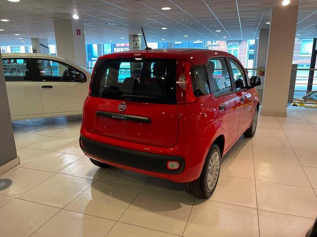 Fiat Panda 1.2i Easy EU6d-TEMP