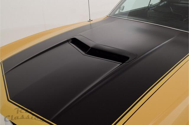 Ford Torino 500