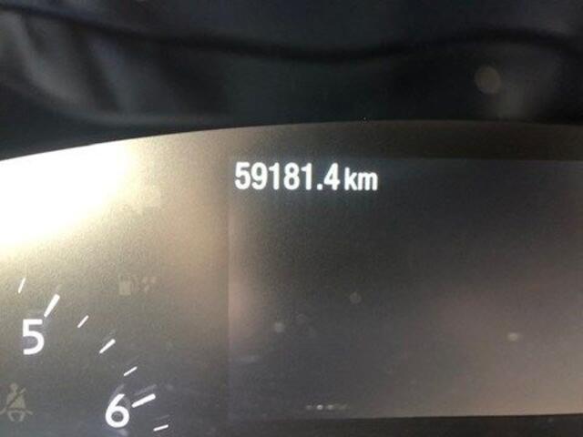 Ford Focus ST-line 998 cc 125 cv