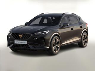 Cupra Formentor 1.5 TSI 150 VollLED Nav Kam ParkA S...
