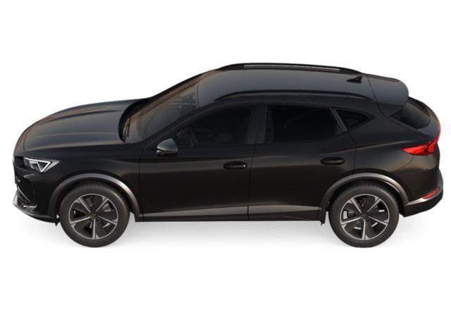 Cupra Formentor 1.5 TSI 150 VollLED Nav Kam ParkA S...