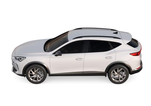 Cupra Formentor 1.5 TSI 150 VollLED FullL VirC ACC ...