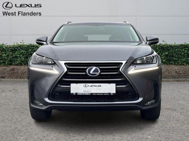 Lexus NX 300H EXECUTIVE LINE AFN. TREKHAAK c