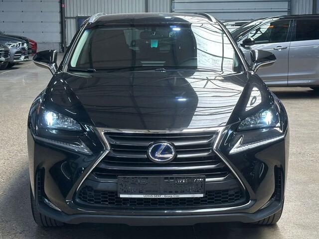 Lexus NX 300h 2.5i AWD Business Edition E-CVT