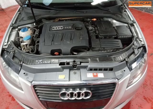 Audi A3 1.6 TDi Cabriolet A/C ST/STP Cuir 155¤ x42
