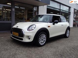 MINI ONE Mini 1.2 Salt Business