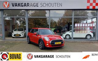 MINI ONE Mini 1.2 Salt Business