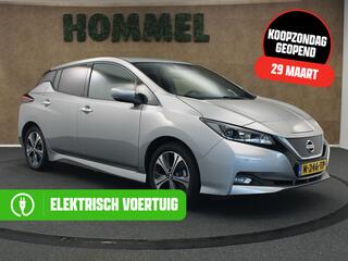 Nissan Leaf (2018 - 2025)