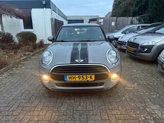 MINI ONE Mini 1.2 Salt Business