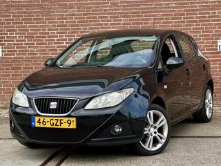 Seat Ibiza (2008 - 2017)
