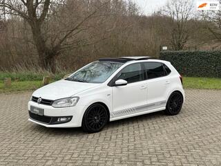 Volkswagen Polo (2009 - 2017)