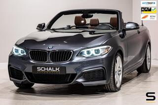BMW 2-SERIE Cabrio 218i High Executive|NAP|Leder|Dealer ond|