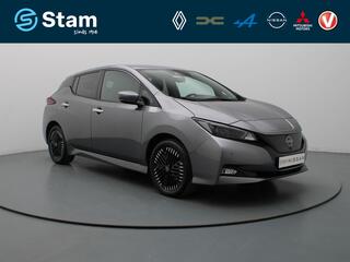 Nissan Leaf (2018 - 2025)