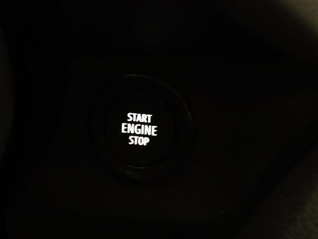 Dacia Sandero Stepway TCe 110pk limited edition Camera | Cruise | Navi | Parkeersens. v+a