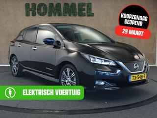 Nissan Leaf (2018 - 2025)