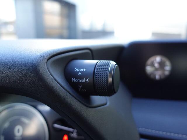 Lexus UX 250h Luxury Line Navigatie,Camera,Keyless,Leer,Stoel+stuurverwarming,PDC
