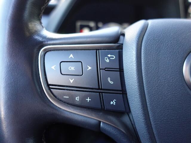 Lexus UX 250h Luxury Line Navigatie,Camera,Keyless,Leer,Stoel+stuurverwarming,PDC