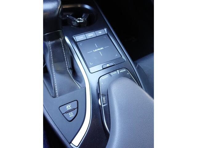 Lexus UX 250h Luxury Line Navigatie,Camera,Keyless,Leer,Stoel+stuurverwarming,PDC
