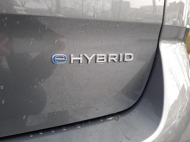 Volkswagen Multivan T7 Hybrid DSG 7p Trekhaak,Camera,Headup,Elek.schuifd