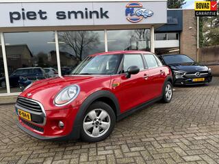 MINI ONE Mini 1.2 Salt Business