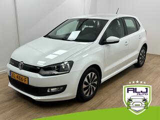 Volkswagen Polo (2009 - 2017)