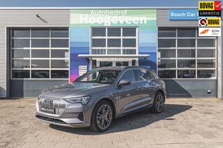 AUDI e-tron E-tron 55 quattro advanced Pro Line Plus 95 kWh