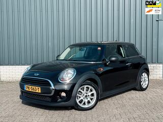 MINI ONE Mini 1.2 Salt Business