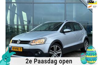 Volkswagen Polo (2009 - 2017)