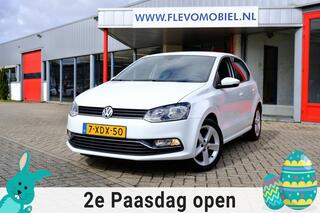 Volkswagen Polo (2009 - 2017)