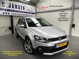 Volkswagen Polo (2009 - 2017)