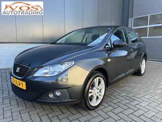 Seat Ibiza (2008 - 2017)