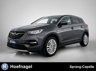 OPEL Grandland X 1.2 Turbo Business Executive | Trekhaak | CarPlay | Navigatie | Cruise Control |