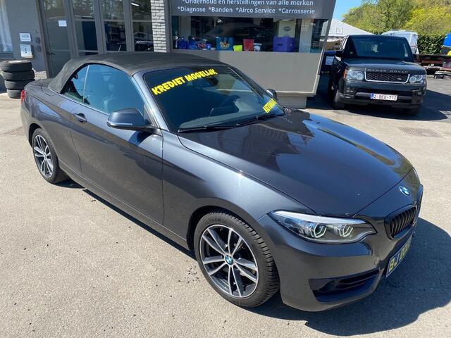 BMW 2-Serie 220 i Sport Line CABRIO AUTOMAAT MET GARANTIE