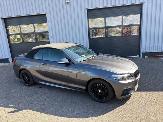 BMW 2-Serie 220I High Executive M-sport I Alcantara I Navi All-in prijs