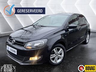 Volkswagen Polo (2009 - 2017)