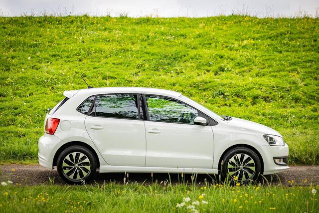 Volkswagen Polo 1.0 BlueMotion Edition |Nap |5Deurs |Clima
