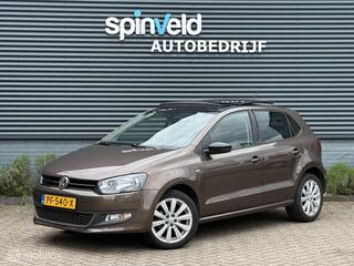 Volkswagen Polo (2009 - 2017)