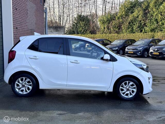 KIA Picanto 1.0 CVVT Colour Edition