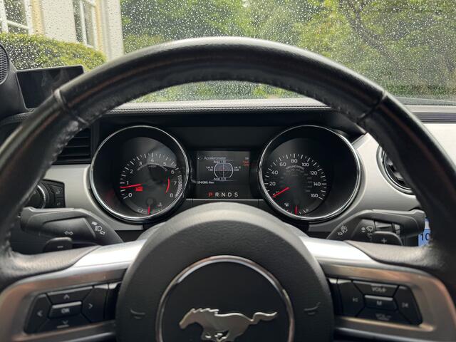 Ford Mustang 5.0 Convertible, Leder, Stoelkoeling