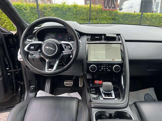 Jaguar 