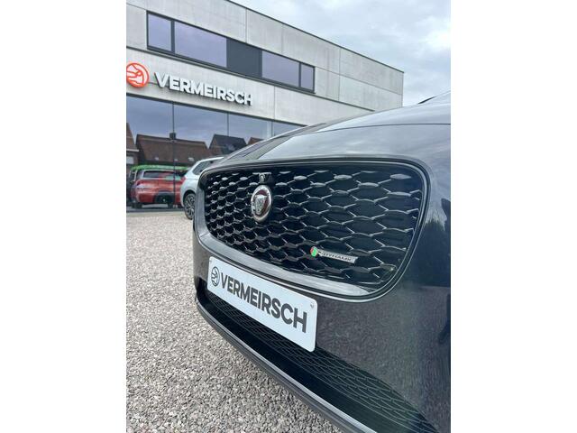 Jaguar 