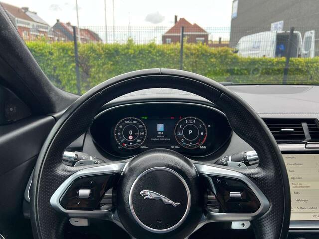 Jaguar 