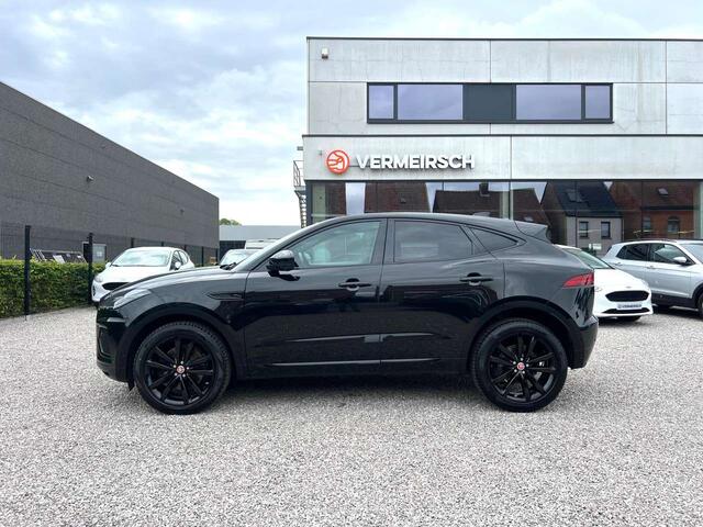 Jaguar 