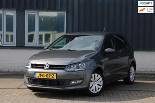 Volkswagen Polo (2009 - 2017)