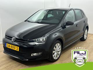 Volkswagen Polo (2009 - 2017)