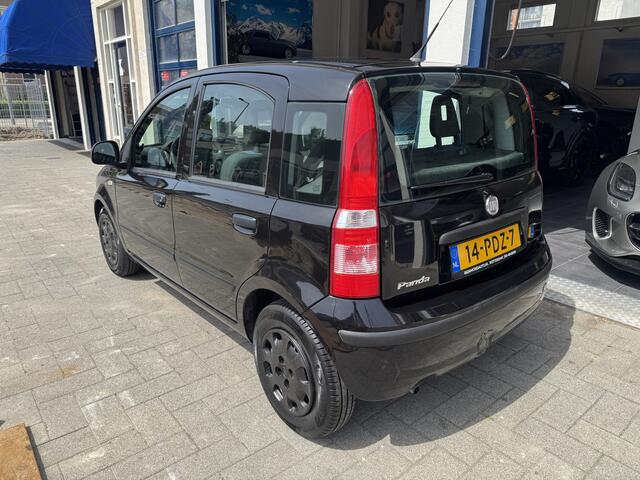 Fiat Panda 1.2 Active APK 11-2026 - NAP -  NL AUTO