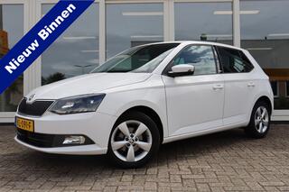 SKODA FABIA 1.2 TSI JOY, Airco, Cruise, Bleutooth, Prijs Is Rijklaar Inclusief 6 Maanden Garantie