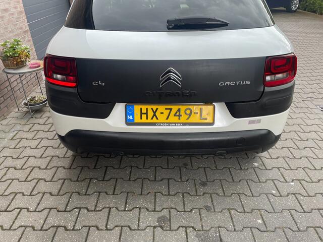 Citroen C4 CACTUS 1.2 PureTech Shine CAMERA NAVI ECC 2016