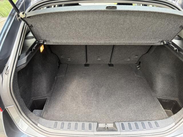 BMW X1 sDrive20i Executive / AUTOMAAT / NAVI / CRUISE / 126dkm NAP